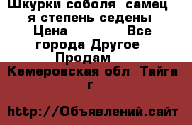 Шкурки соболя (самец) 1-я степень седены › Цена ­ 12 000 - Все города Другое » Продам   . Кемеровская обл.,Тайга г.